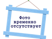 заказать печать Модульная картина на холсте с натяжкой на подрамник, 2 части, размер модуля 1х0,5 м